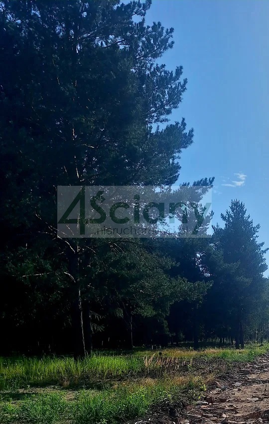 Działka budowlana 1200 m², Adamowizna - zdjęcie 2