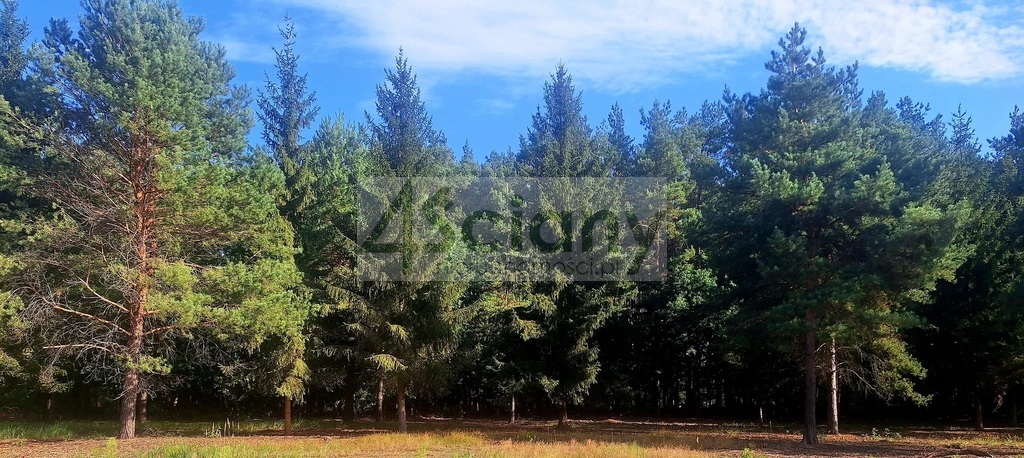 Działka budowlana 1200 m², Adamowizna - zdjęcie 1