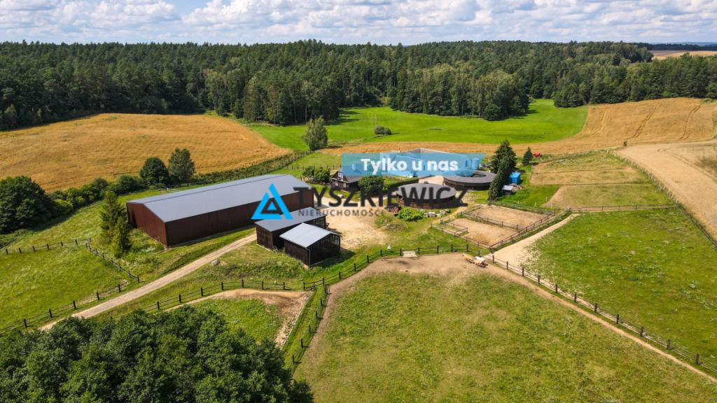 Stadnina koni, gosp.rolne stajnia - zdjęcie 1
