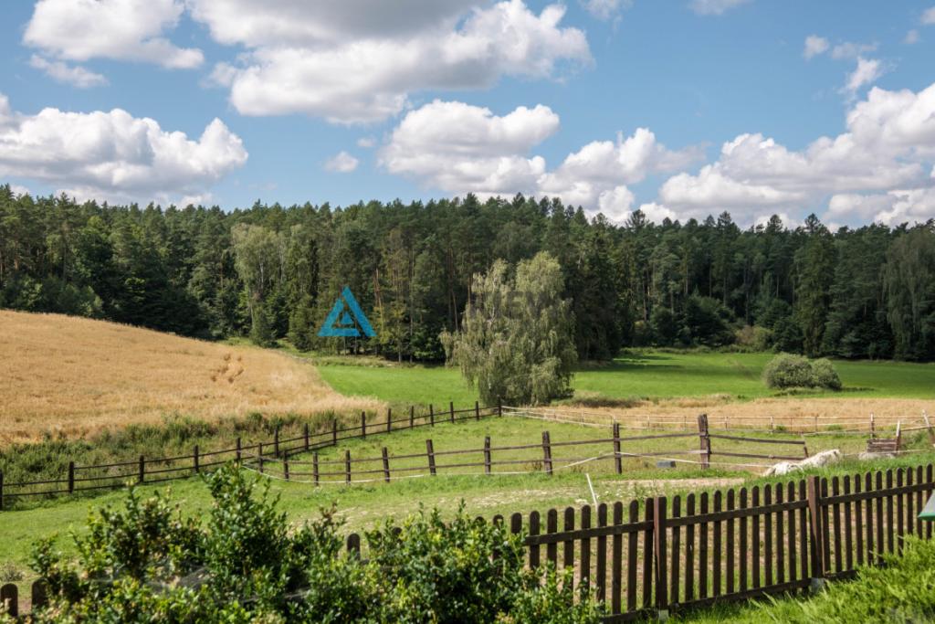 Stadnina koni, gosp.rolne stajnia - zdjęcie 29