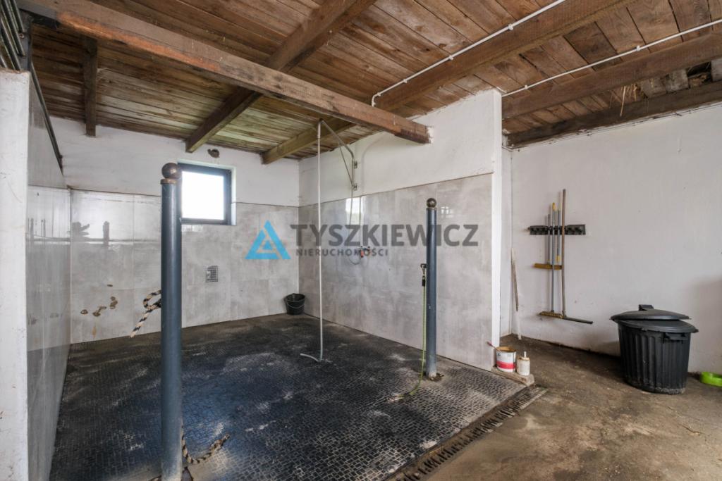 Stadnina koni, gosp.rolne stajnia - zdjęcie 15