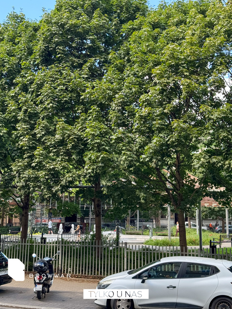 Mieszkanie 22,45&nbsp;m², Poznań, Długa - zdjęcie 14