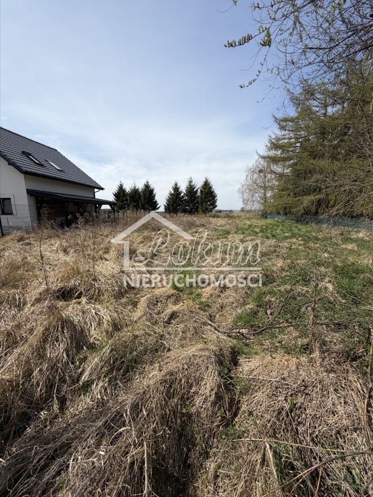 Działka budowlana 1150 m², Rurzyca, Skryta - zdjęcie 4