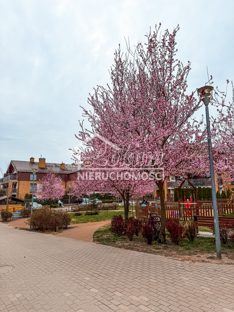 Mieszkanie 58 m², Szczecin - zdjęcie 8