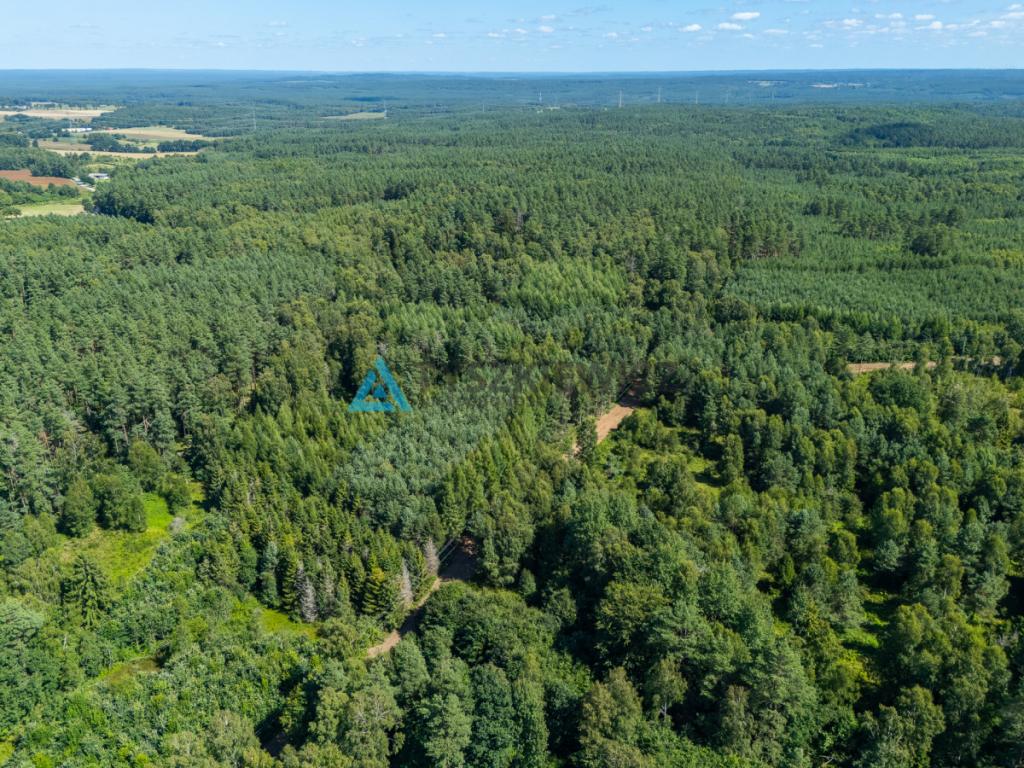 Atrakcyjna działka rolna. - zdjęcie 16