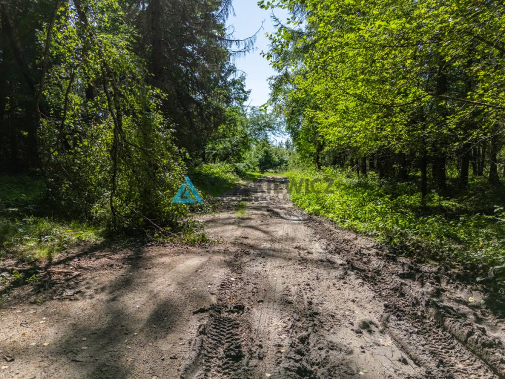 Atrakcyjna działka rolna. - zdjęcie 3