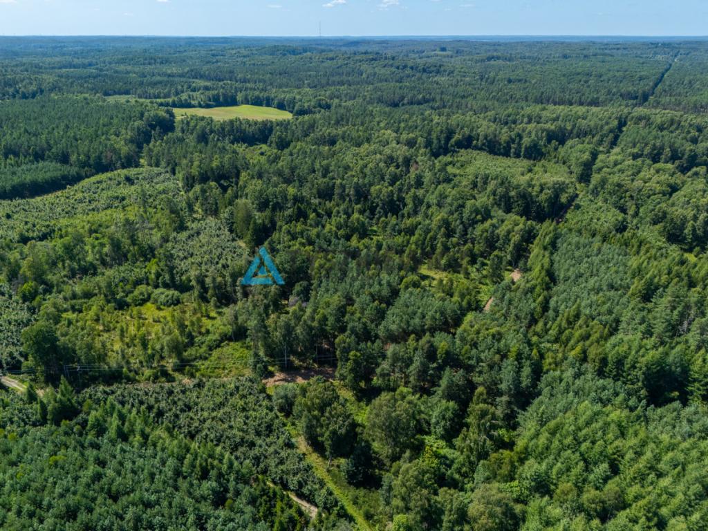 Atrakcyjna działka rolna. - zdjęcie 11