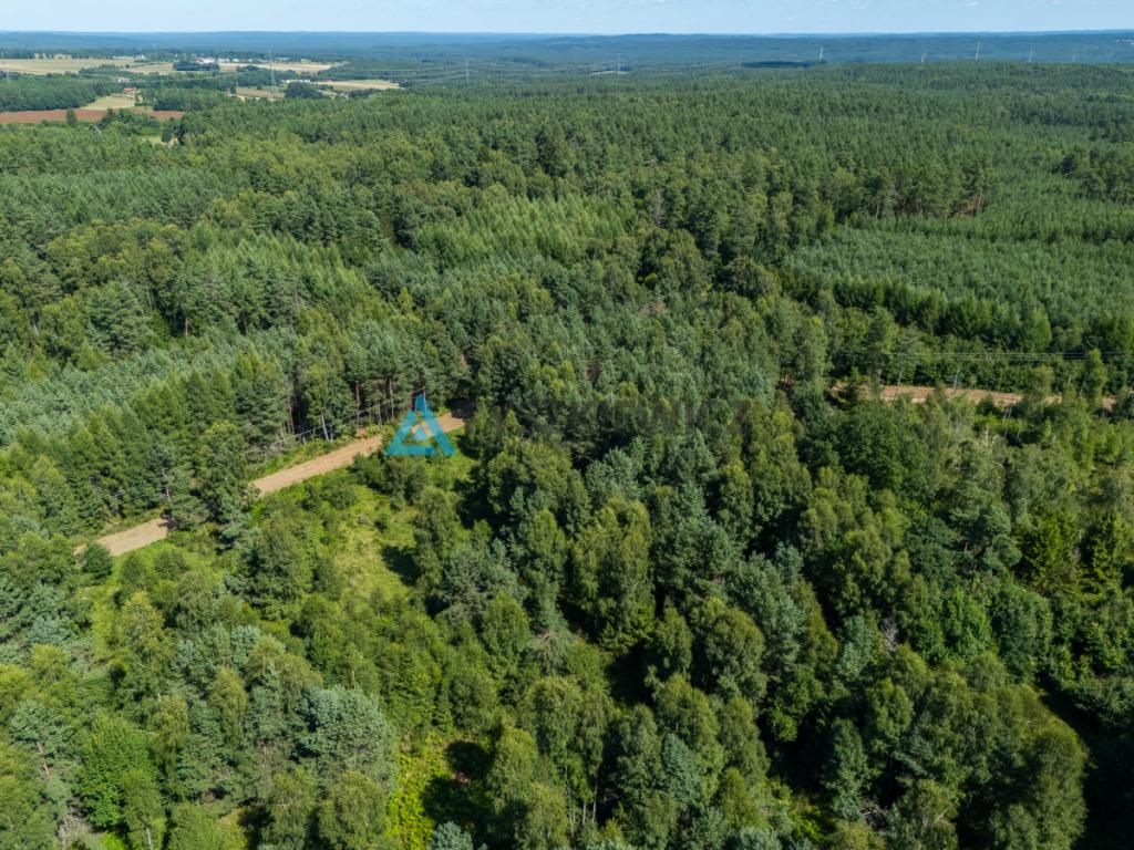 Atrakcyjna działka rolna. - zdjęcie 8
