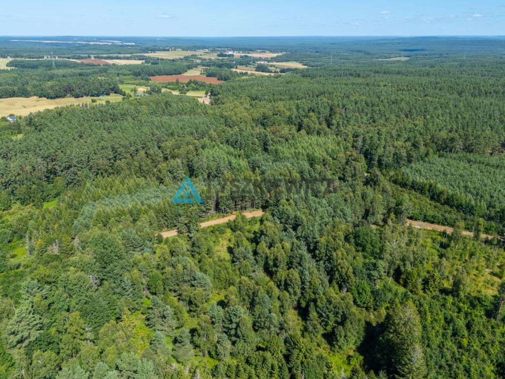 Atrakcyjna działka rolna. - zdjęcie 15
