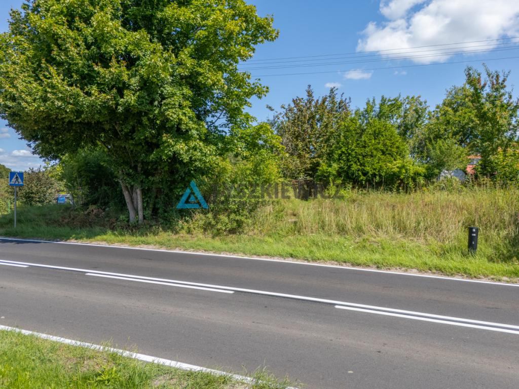 Wyjątkowa oferta działki budowlanej w Łodzierzy - zdjęcie 5