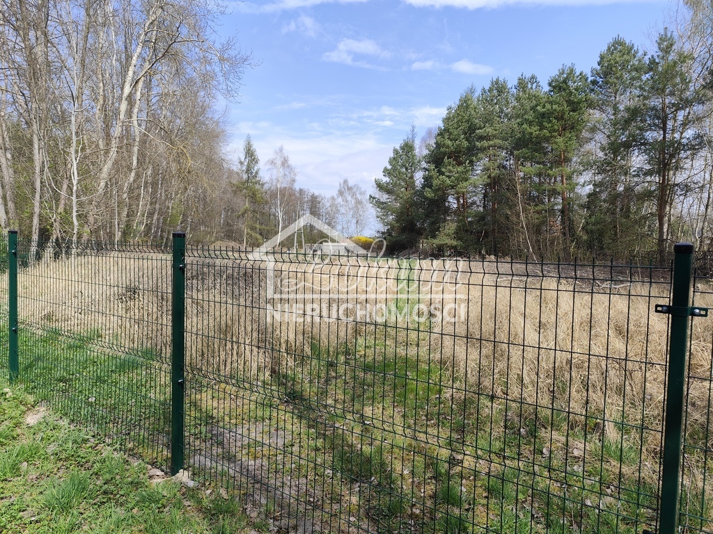 Działka budowlana 3069&nbsp;m², Grzepnica - zdjęcie 1