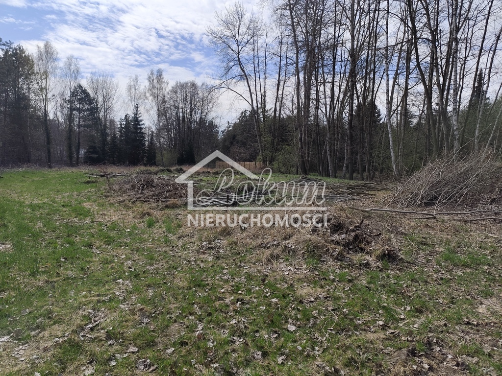Działka budowlana 3069&nbsp;m², Grzepnica - zdjęcie 3