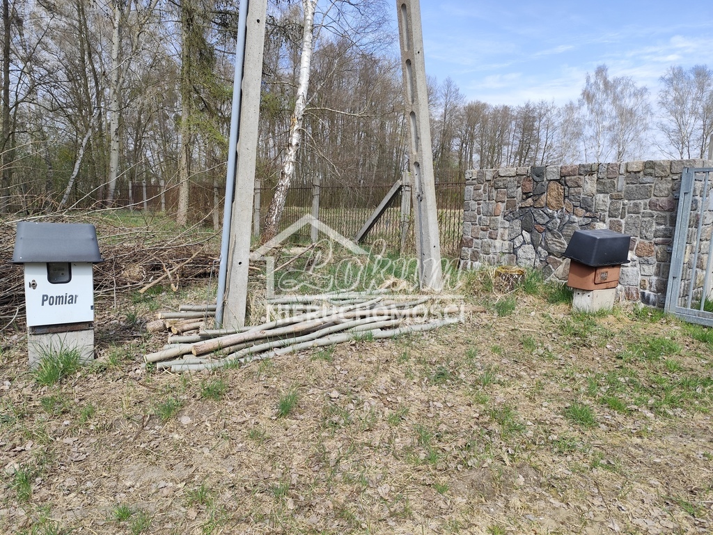 Działka budowlana 3069&nbsp;m², Grzepnica - zdjęcie 2