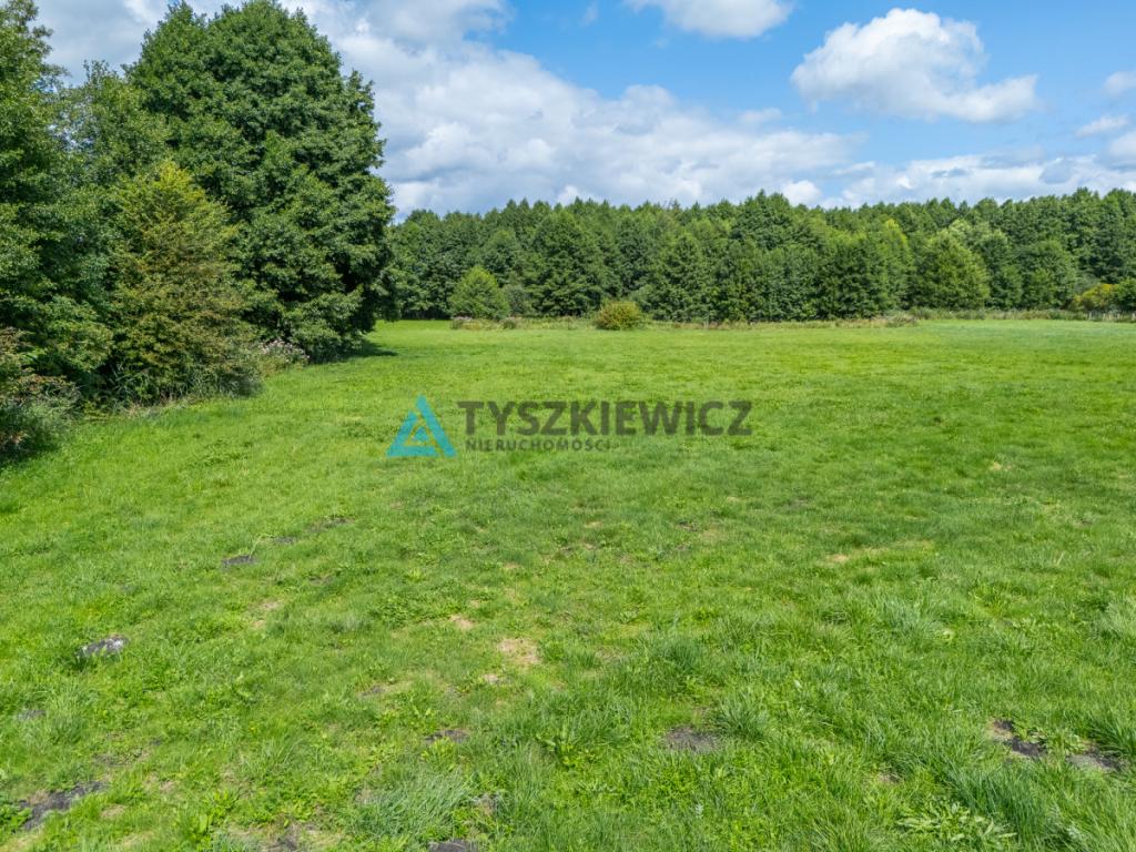 Działka z widokiem na jezioro - zdjęcie 3