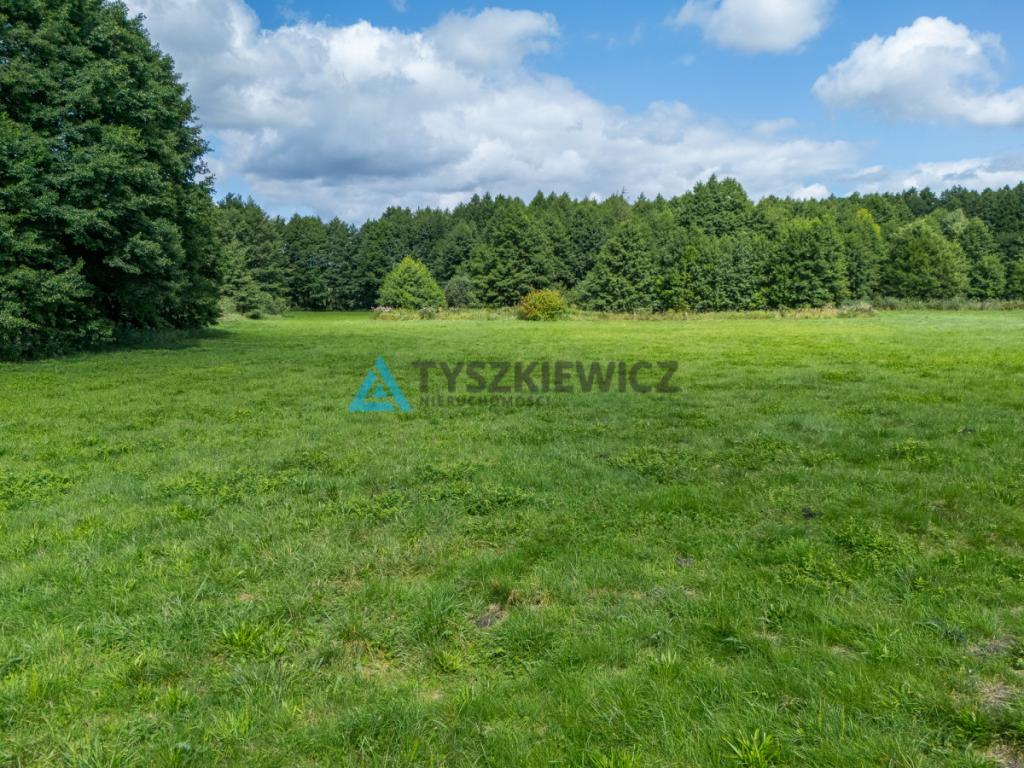 Działka z widokiem na jezioro - zdjęcie 2