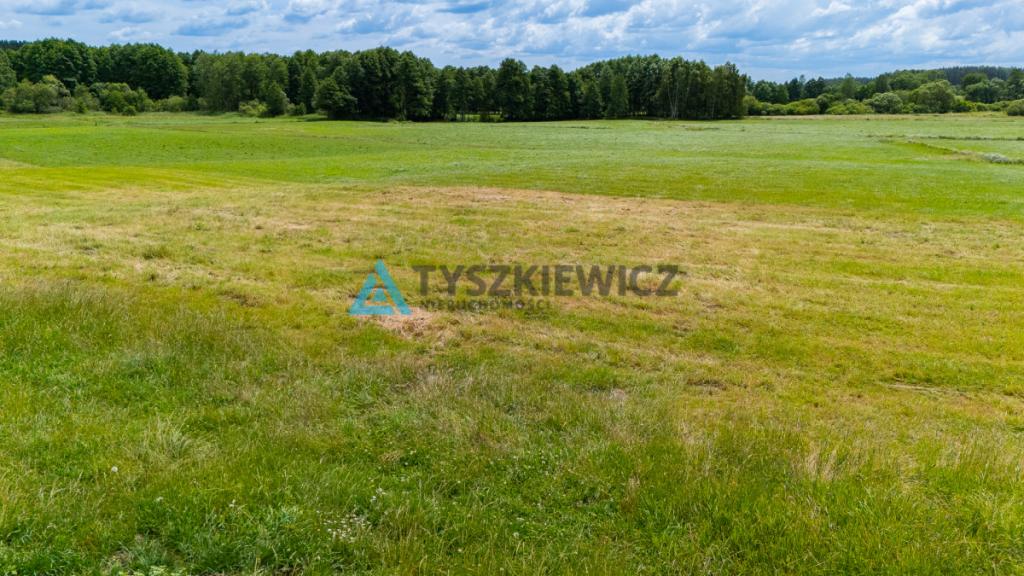 Działka rolna Lubieszyn - zdjęcie 5