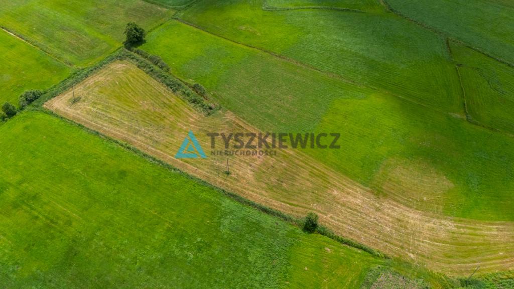 Działka rolna Lubieszyn - zdjęcie 10