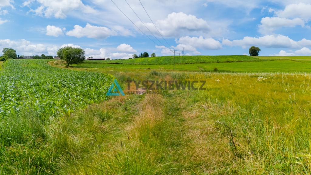 Działka rolna Lubieszyn - zdjęcie 4