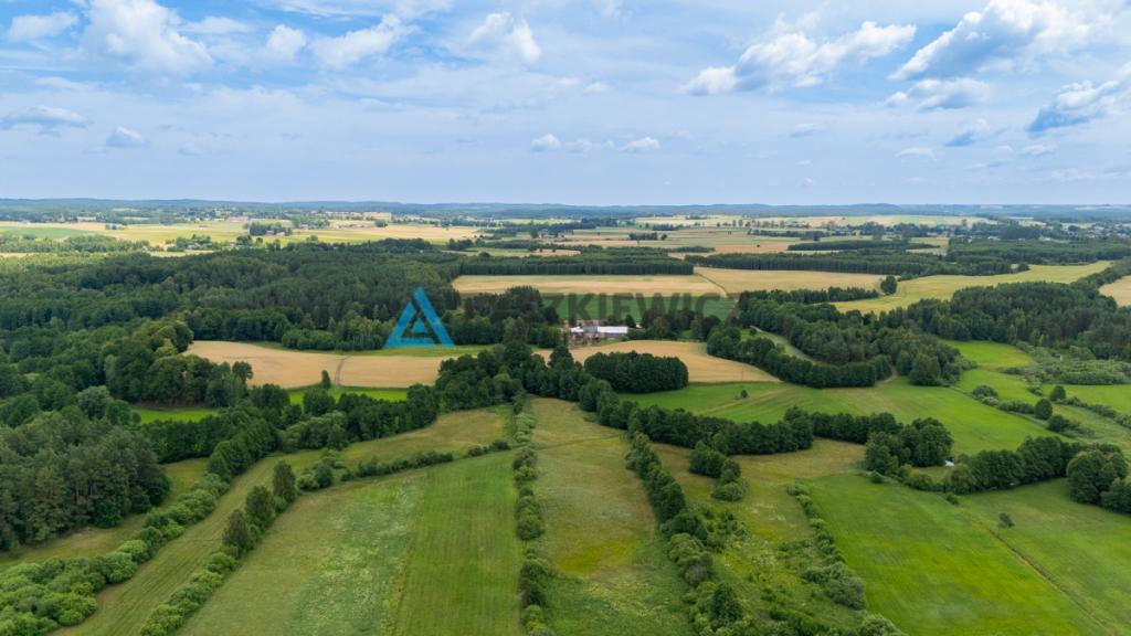 Działka rolna Lubieszyn - zdjęcie 14