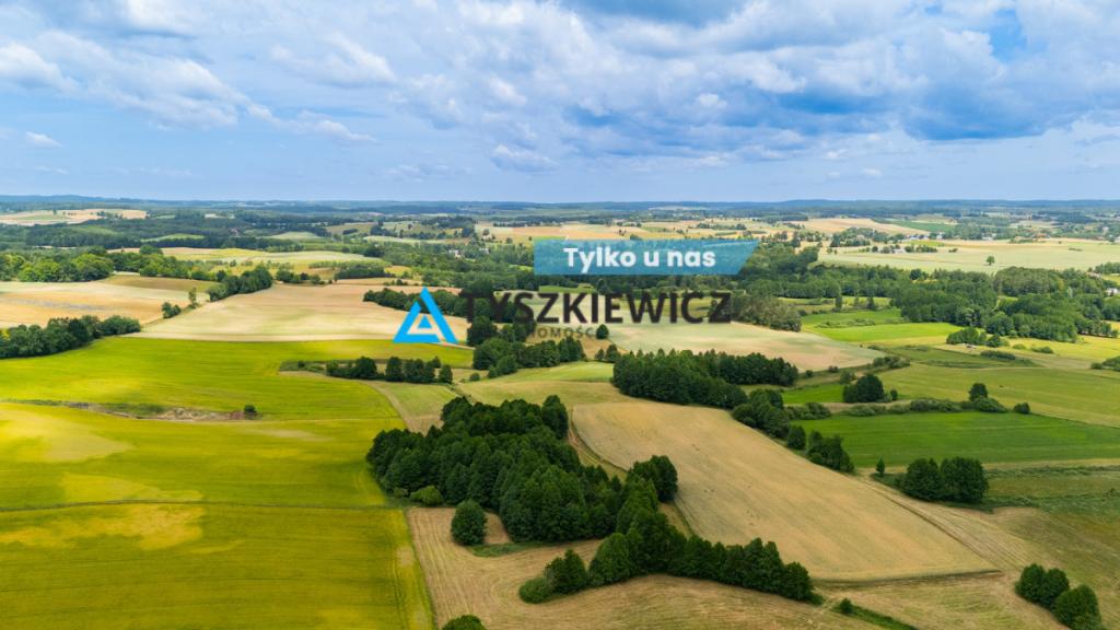Działka rolna Lubieszyn - zdjęcie 1