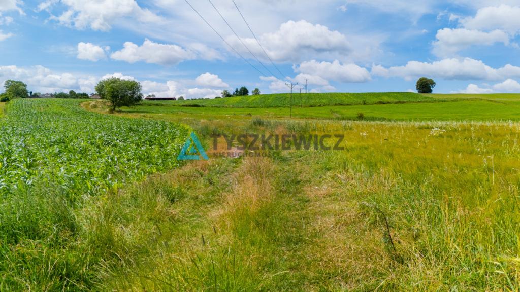 Działka rolna Lubieszyn - zdjęcie 3