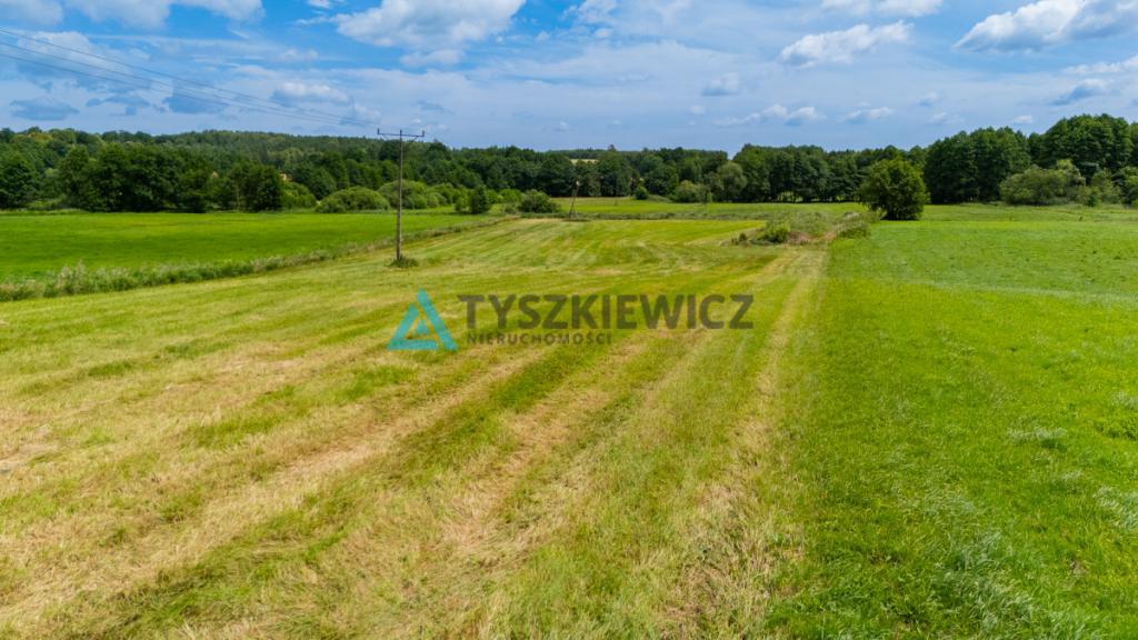 Działka rolna Lubieszyn - zdjęcie 9