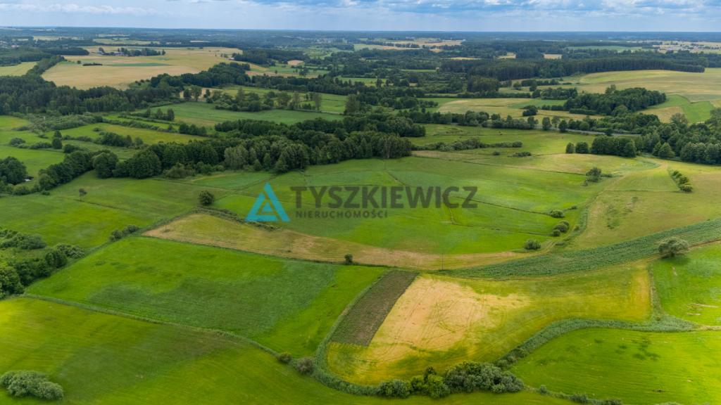 Działka rolna Lubieszyn - zdjęcie 11