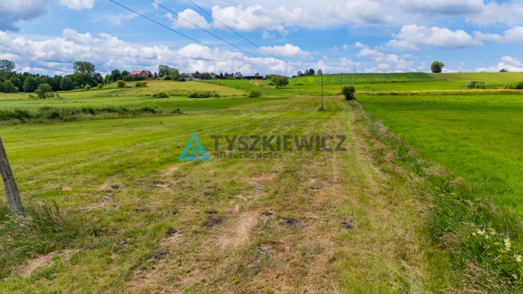Działka rolna Lubieszyn - zdjęcie 8