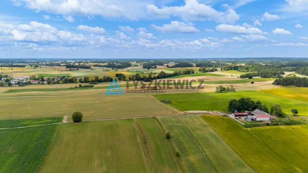 Działka rolna Lubieszyn - zdjęcie 13