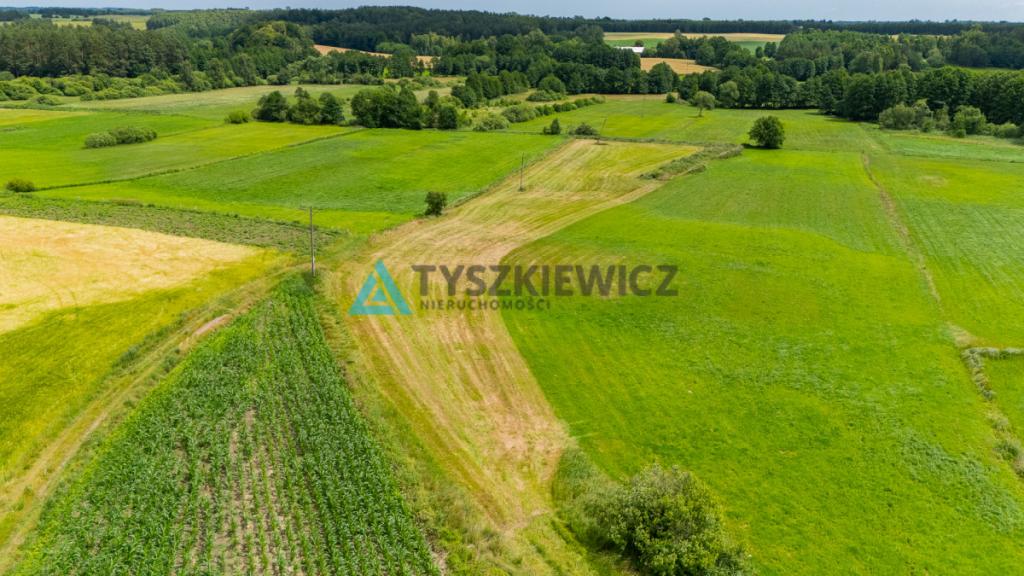 Działka rolna Lubieszyn - zdjęcie 6