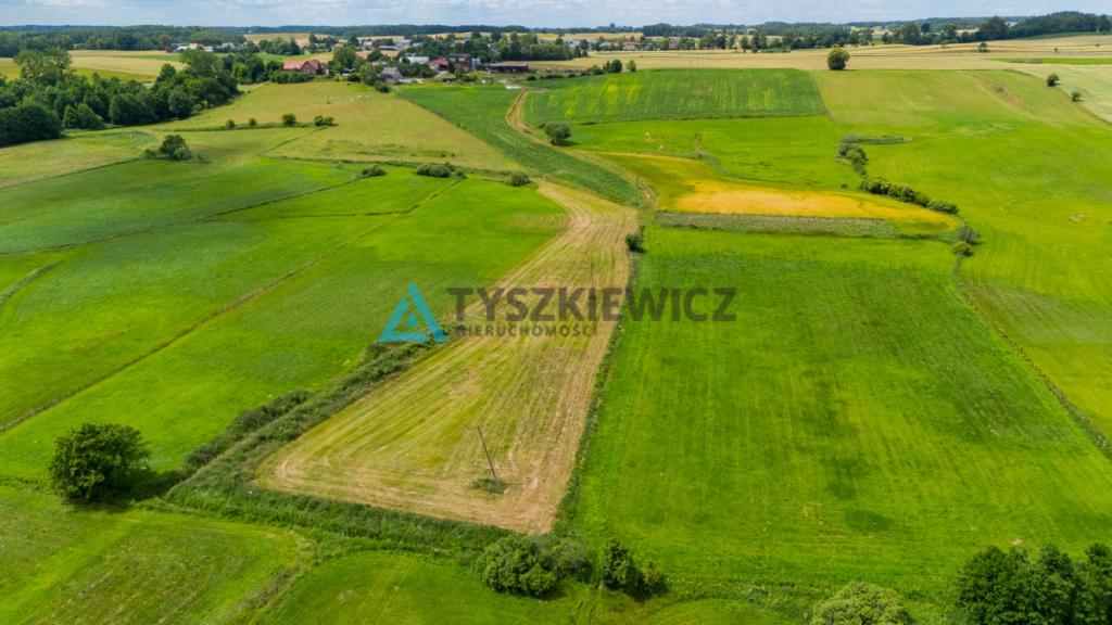 Działka rolna Lubieszyn - zdjęcie 7