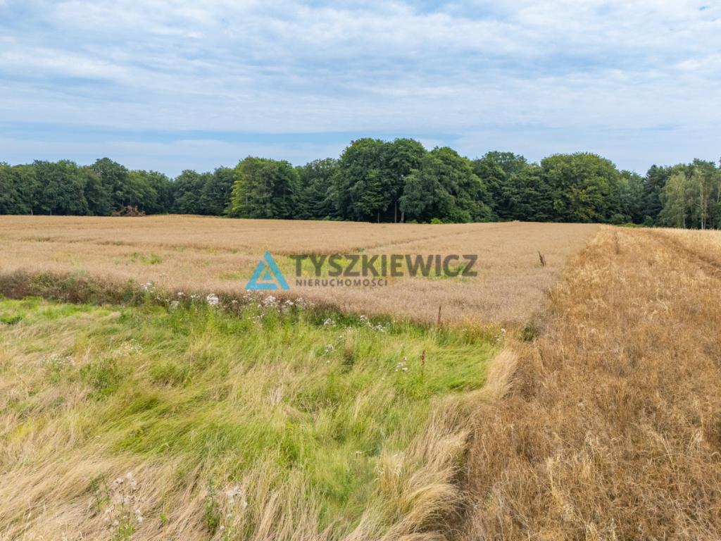 Duża działka - zdjęcie 16
