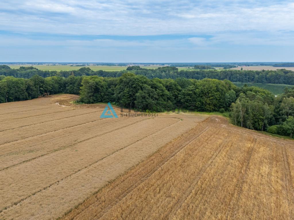Duża działka - zdjęcie 13