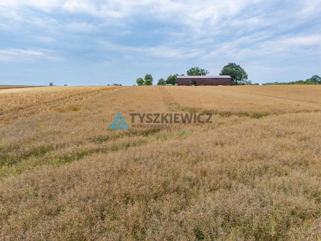 Duża działka - zdjęcie 14