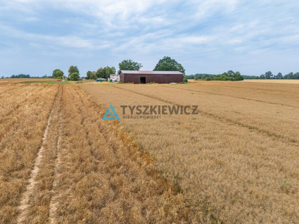 Duża działka - zdjęcie 15