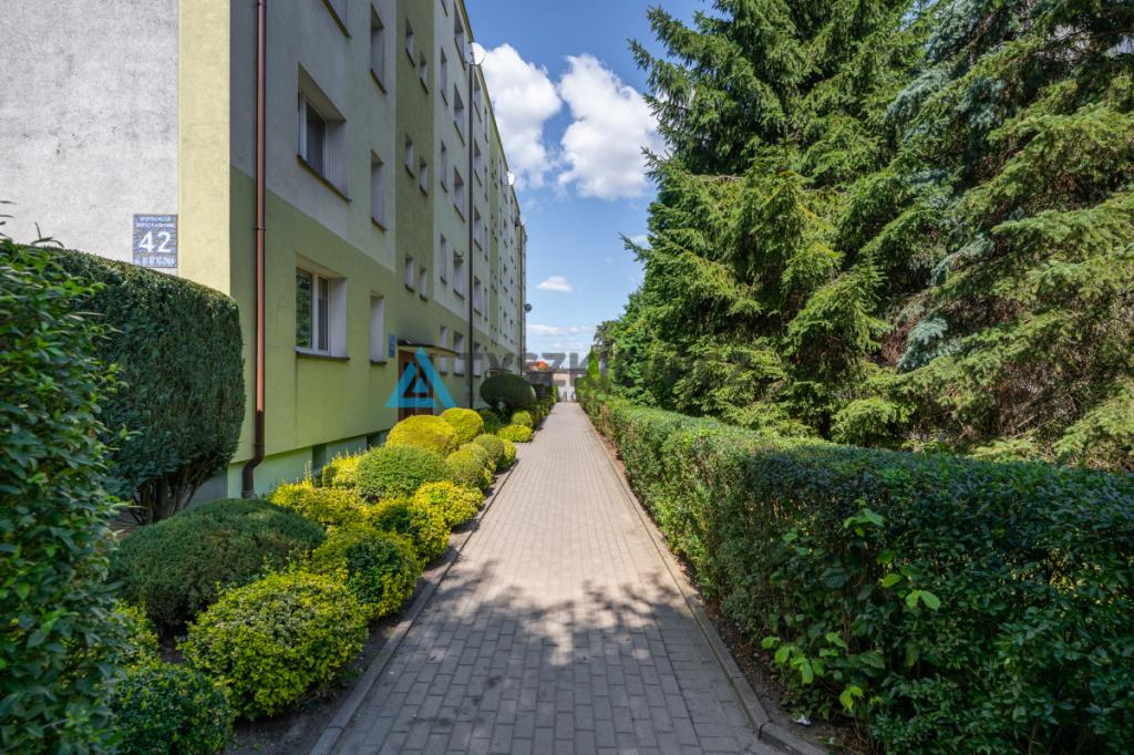 Dwupokojowe mieszkanie w centrum Chojnic - zdjęcie 11