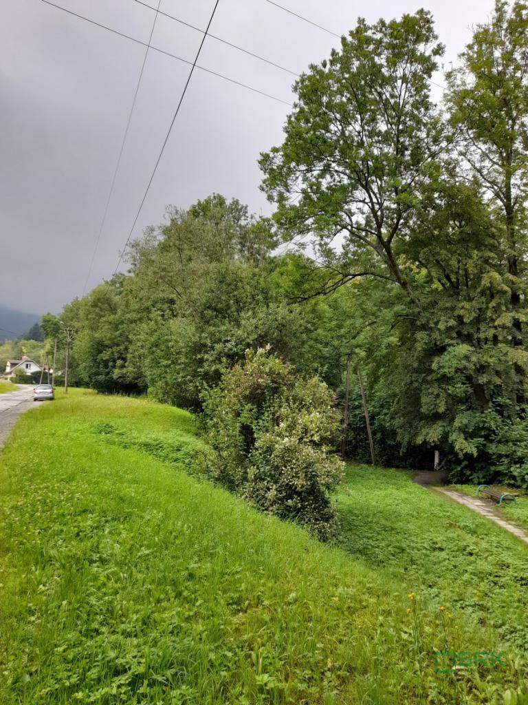 Działka budowlana 1324&nbsp;m², Wilkowice, Klimczoka - zdjęcie 5