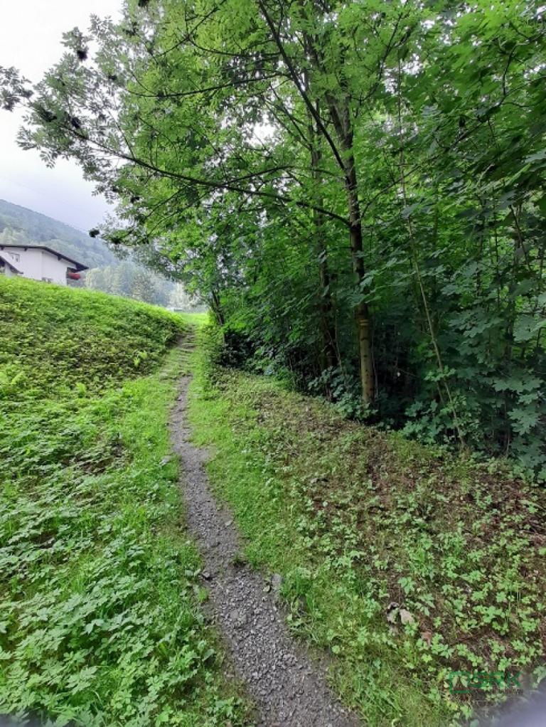 Działka budowlana 1324&nbsp;m², Wilkowice, Klimczoka - zdjęcie 6
