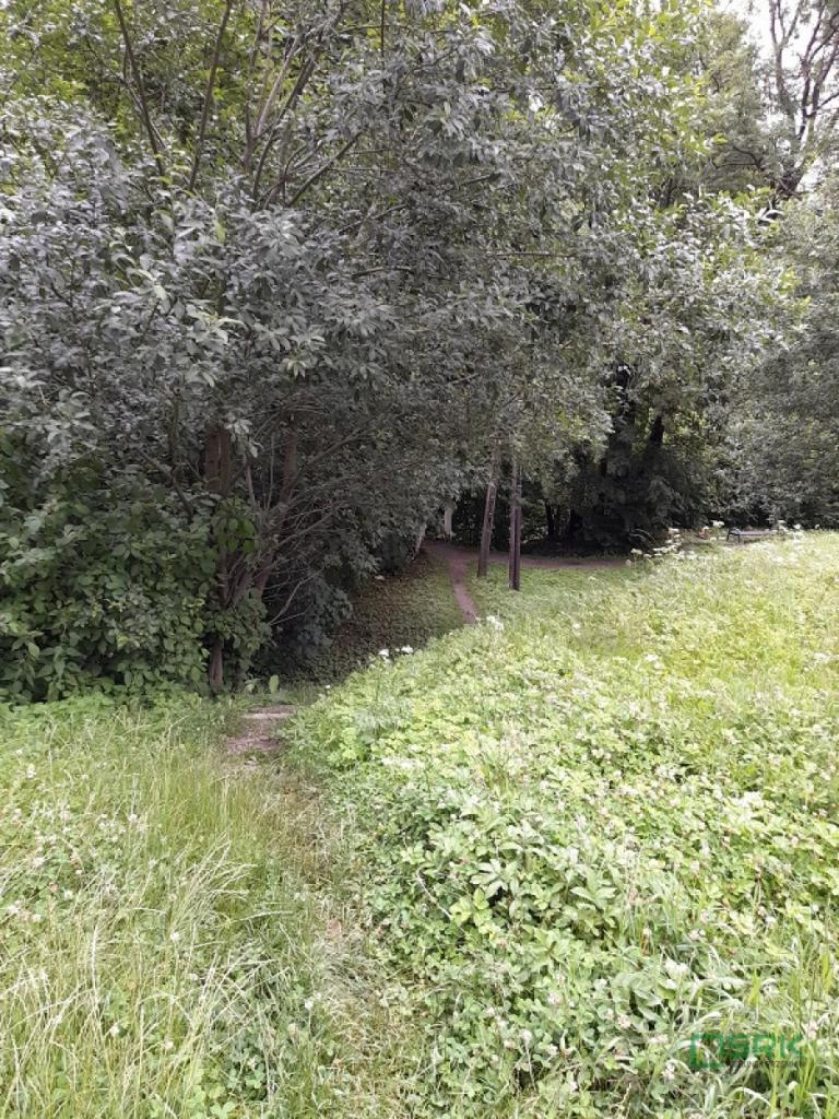 Działka budowlana 1324&nbsp;m², Wilkowice, Klimczoka - zdjęcie 2