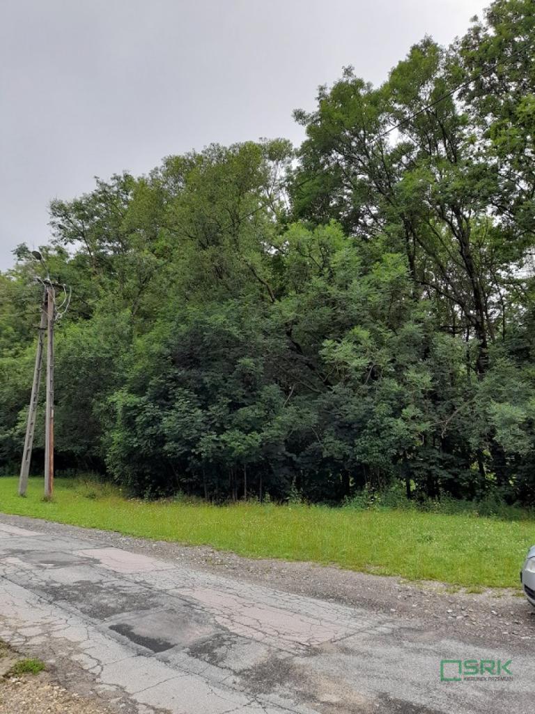 Działka budowlana 1324&nbsp;m², Wilkowice, Klimczoka - zdjęcie 4