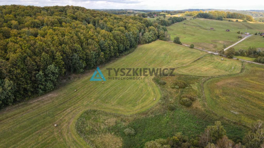 Działka przy lesie Trzepowo - zdjęcie 7