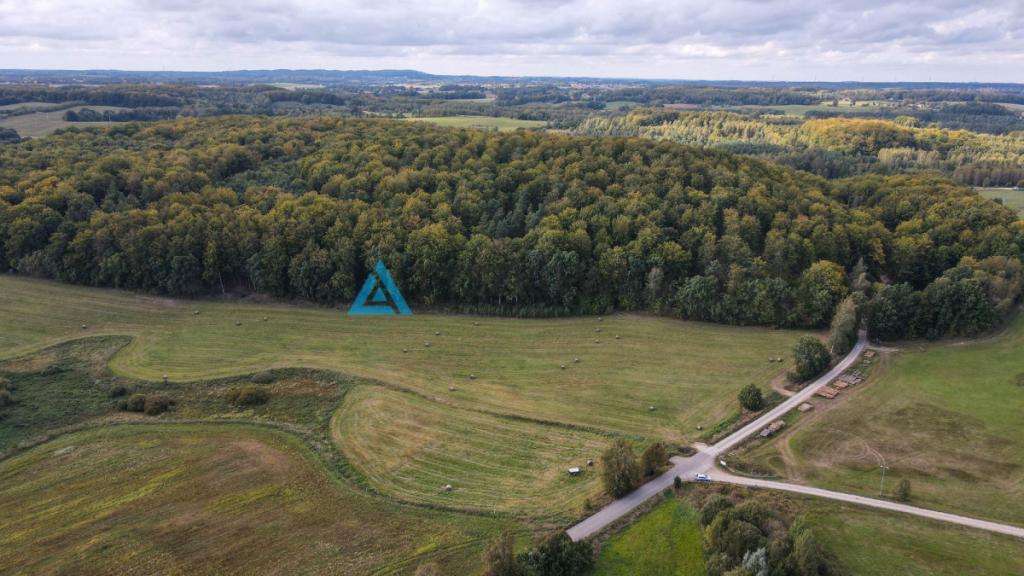 Działka przy lesie Trzepowo - zdjęcie 8