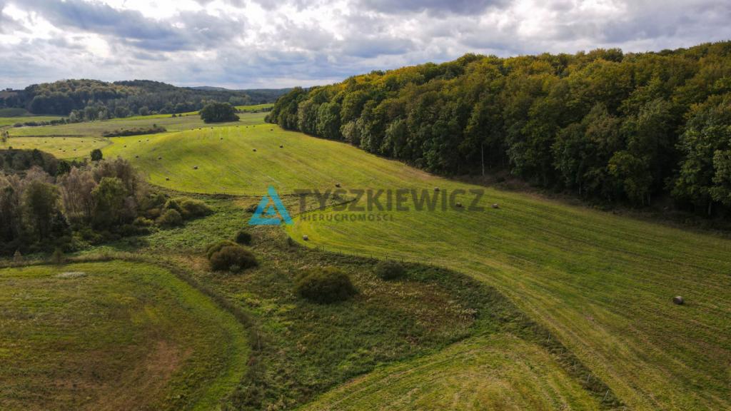Działka przy lesie Trzepowo - zdjęcie 17