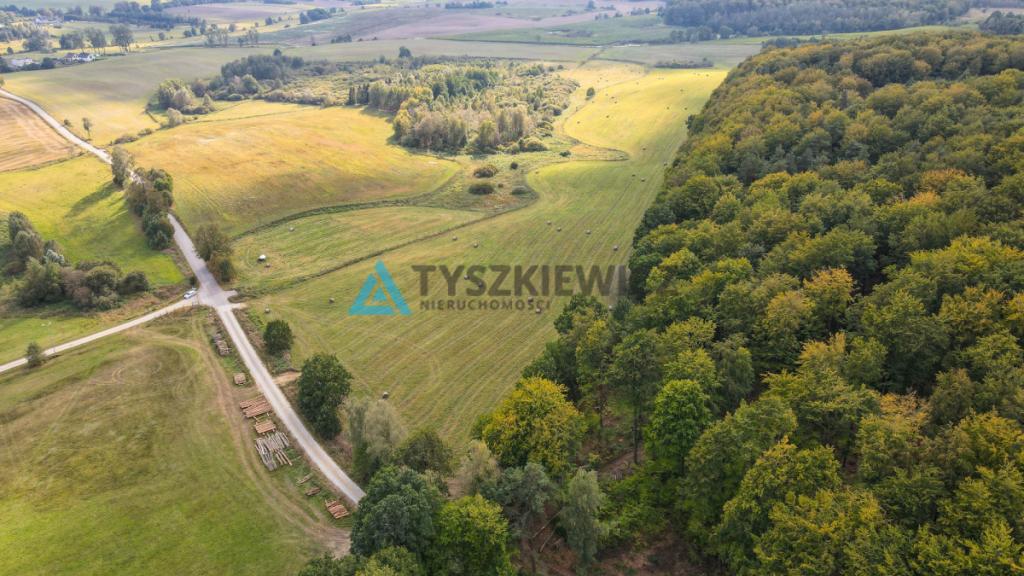 Działka przy lesie Trzepowo - zdjęcie 10