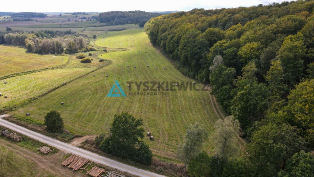 Działka przy lesie Trzepowo - zdjęcie 11
