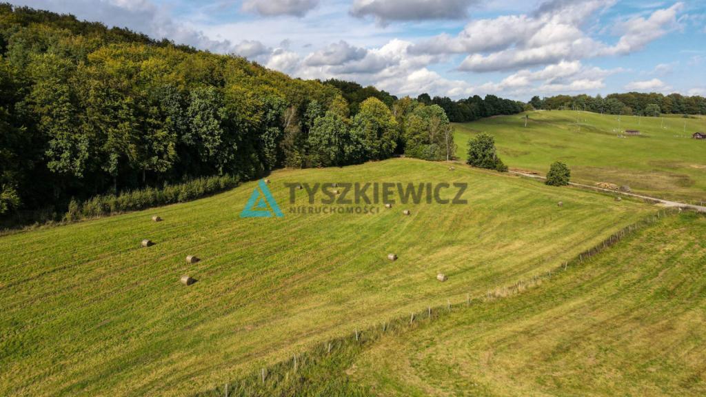 Działka przy lesie Trzepowo - zdjęcie 6