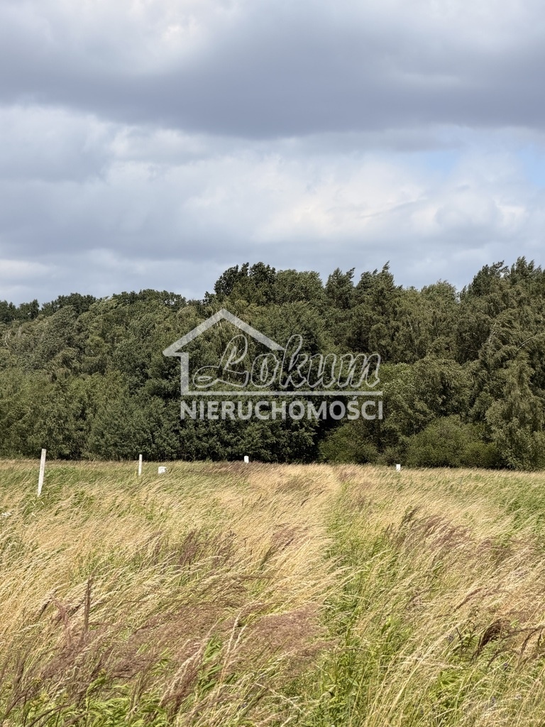 Działka budowlana 1100&nbsp;m², Niedźwiedź - zdjęcie 5