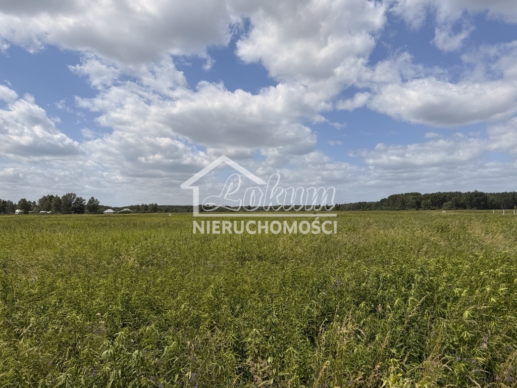 Działka budowlana 1100&nbsp;m², Niedźwiedź - zdjęcie 2