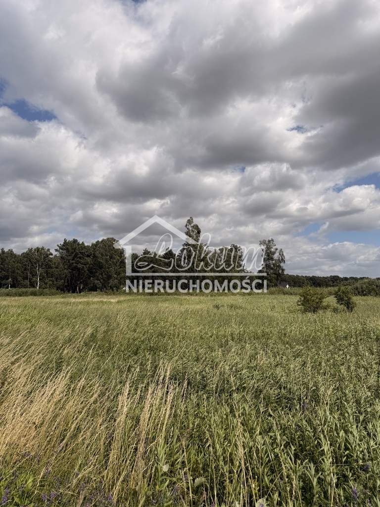 Działka budowlana 1100&nbsp;m², Niedźwiedź - zdjęcie 8