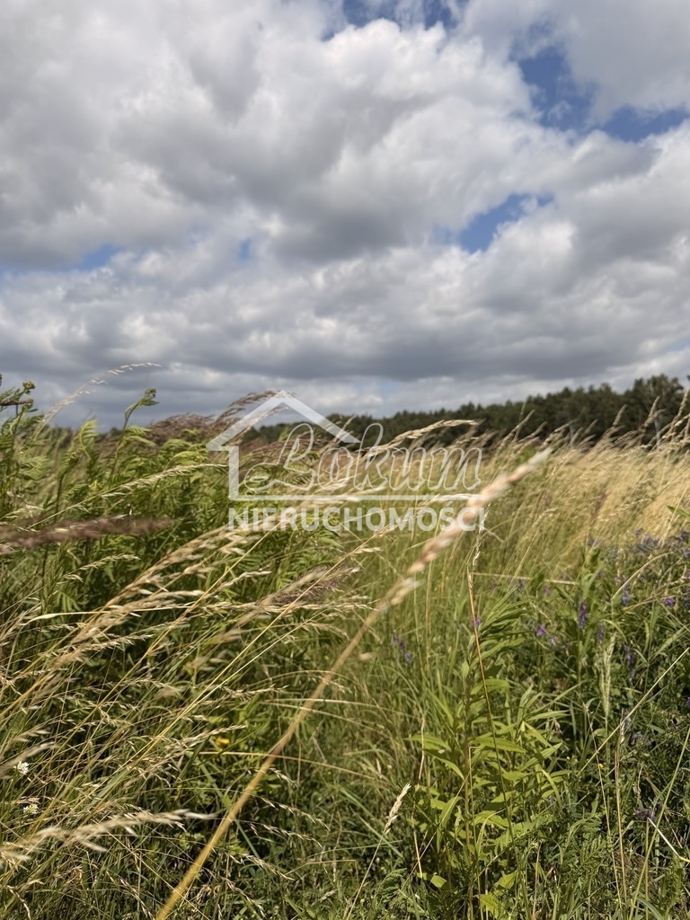 Działka budowlana 1100&nbsp;m², Niedźwiedź - zdjęcie 9